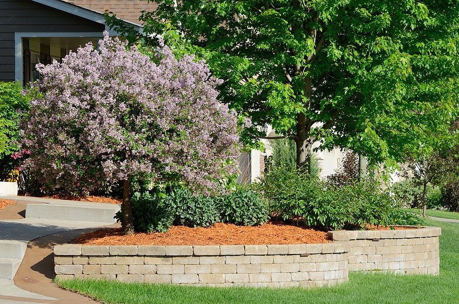 landscaping and retaining wall at a residential home